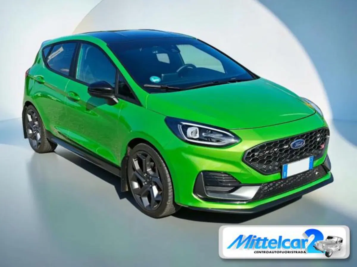 Ford Fiesta usata a Udine