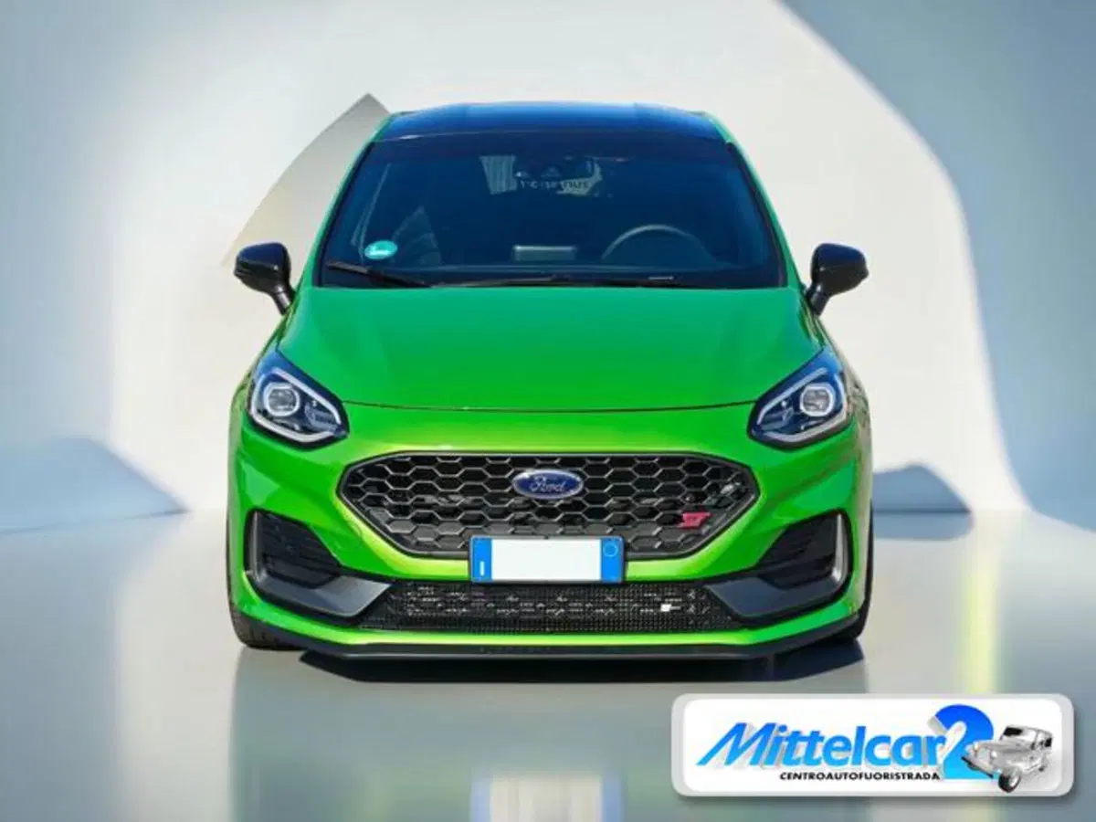 Ford Fiesta usata a Udine (11)