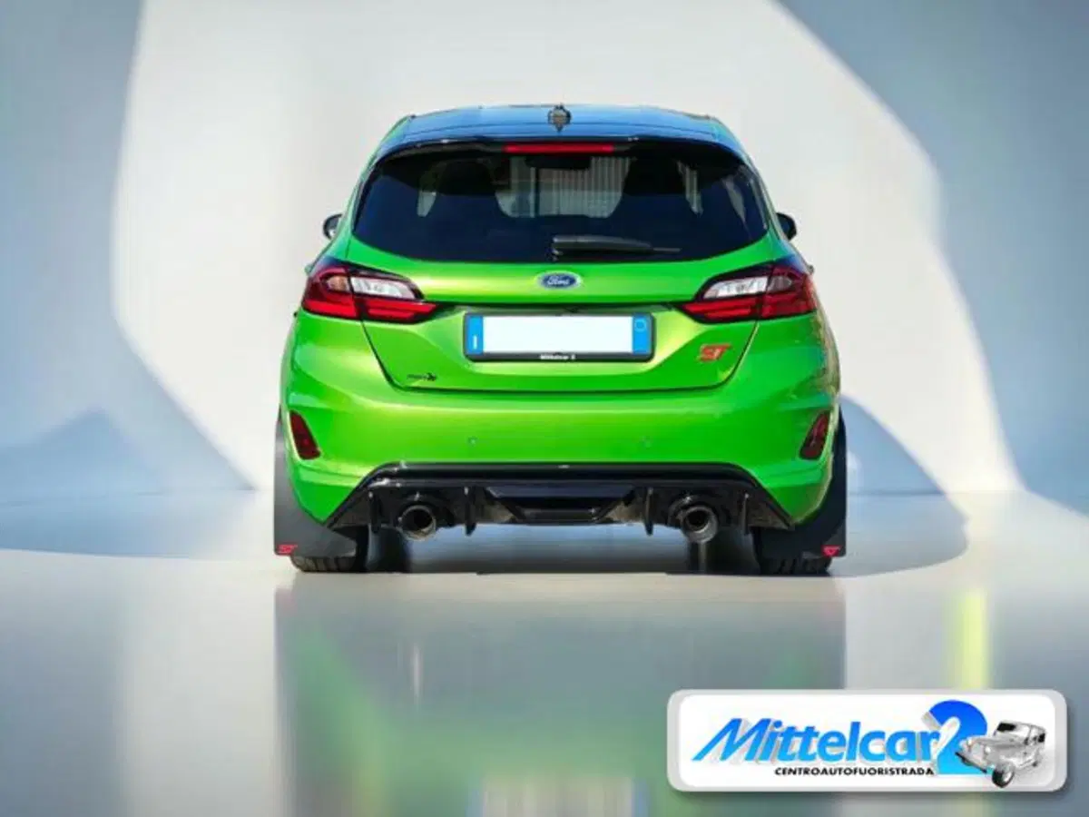 Ford Fiesta usata a Udine (2)