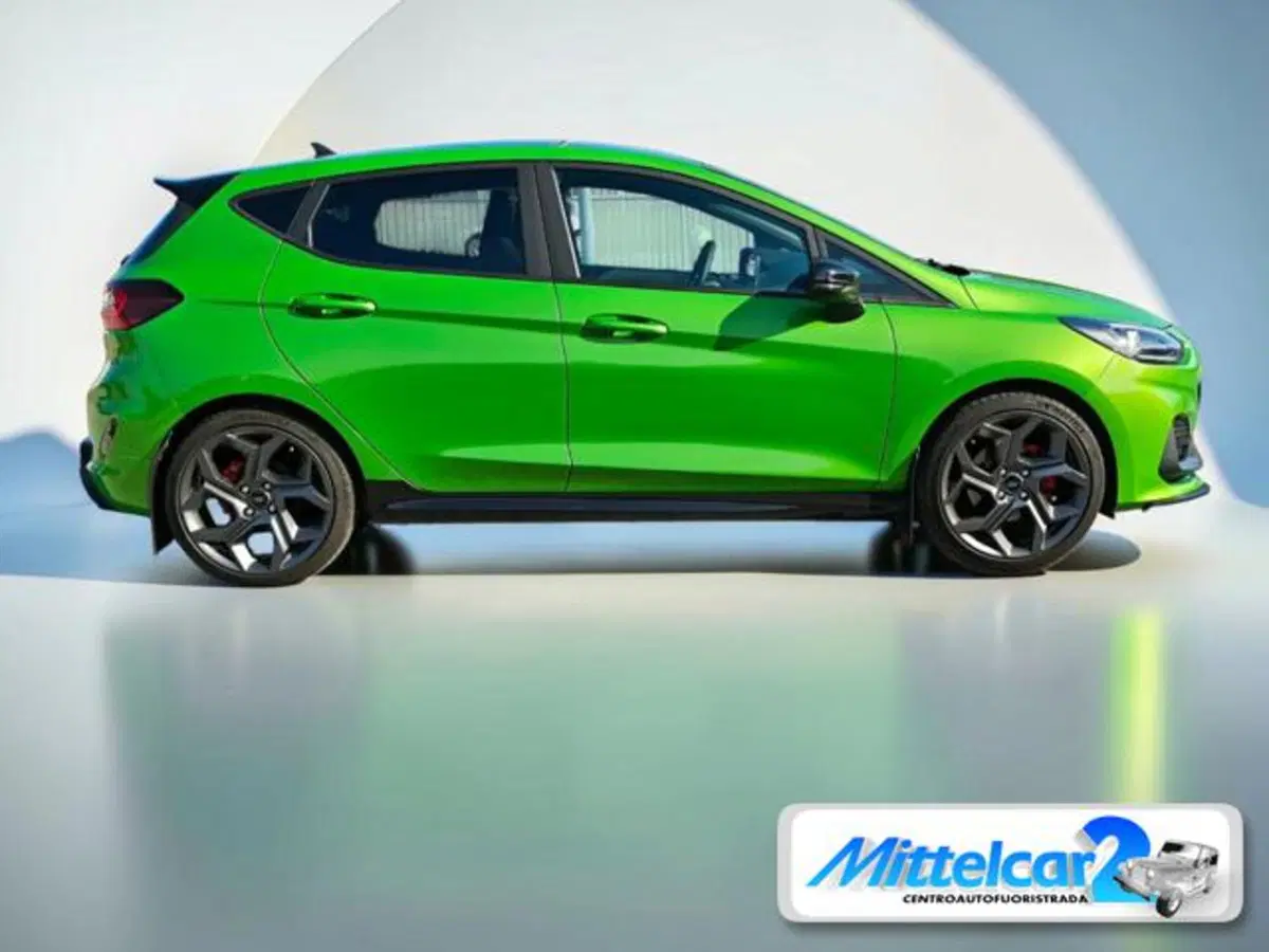Ford Fiesta usata a Udine (3)