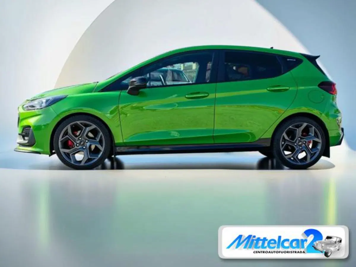 Ford Fiesta usata a Udine (4)