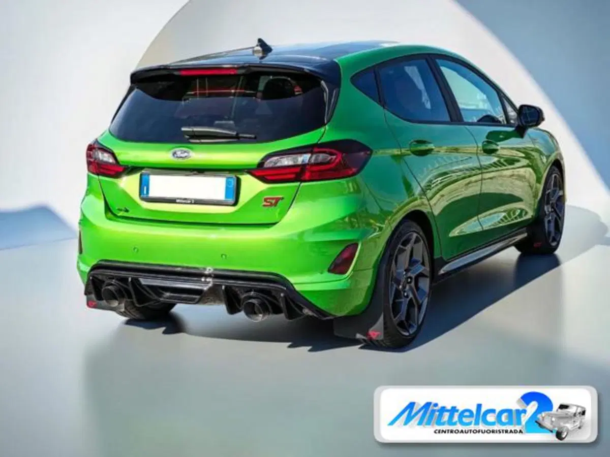 Ford Fiesta usata a Udine (5)