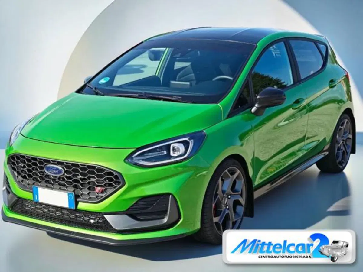 Ford Fiesta usata a Udine (7)