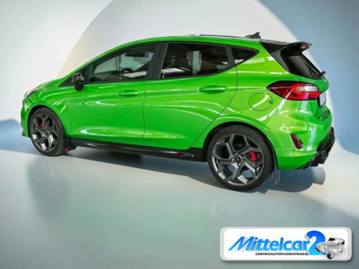 Ford Fiesta usata a Udine (8)