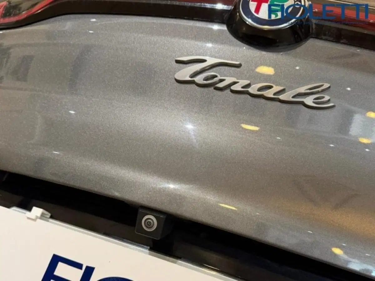 Alfa Romeo Tonale usata a Brescia (19)
