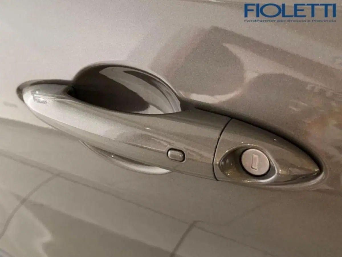 Alfa Romeo Tonale usata a Brescia (20)