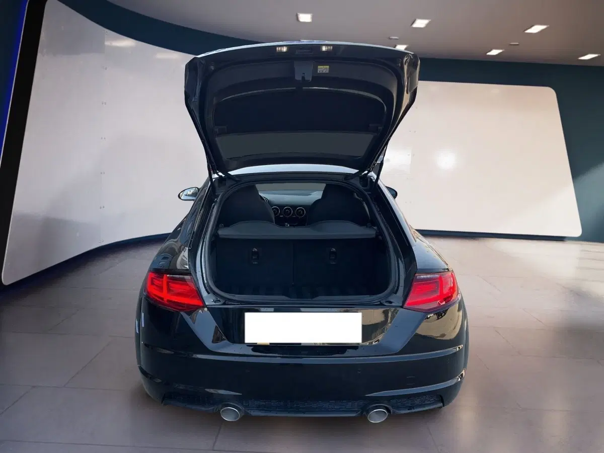 Audi TT Coupé usata a Torino (8)