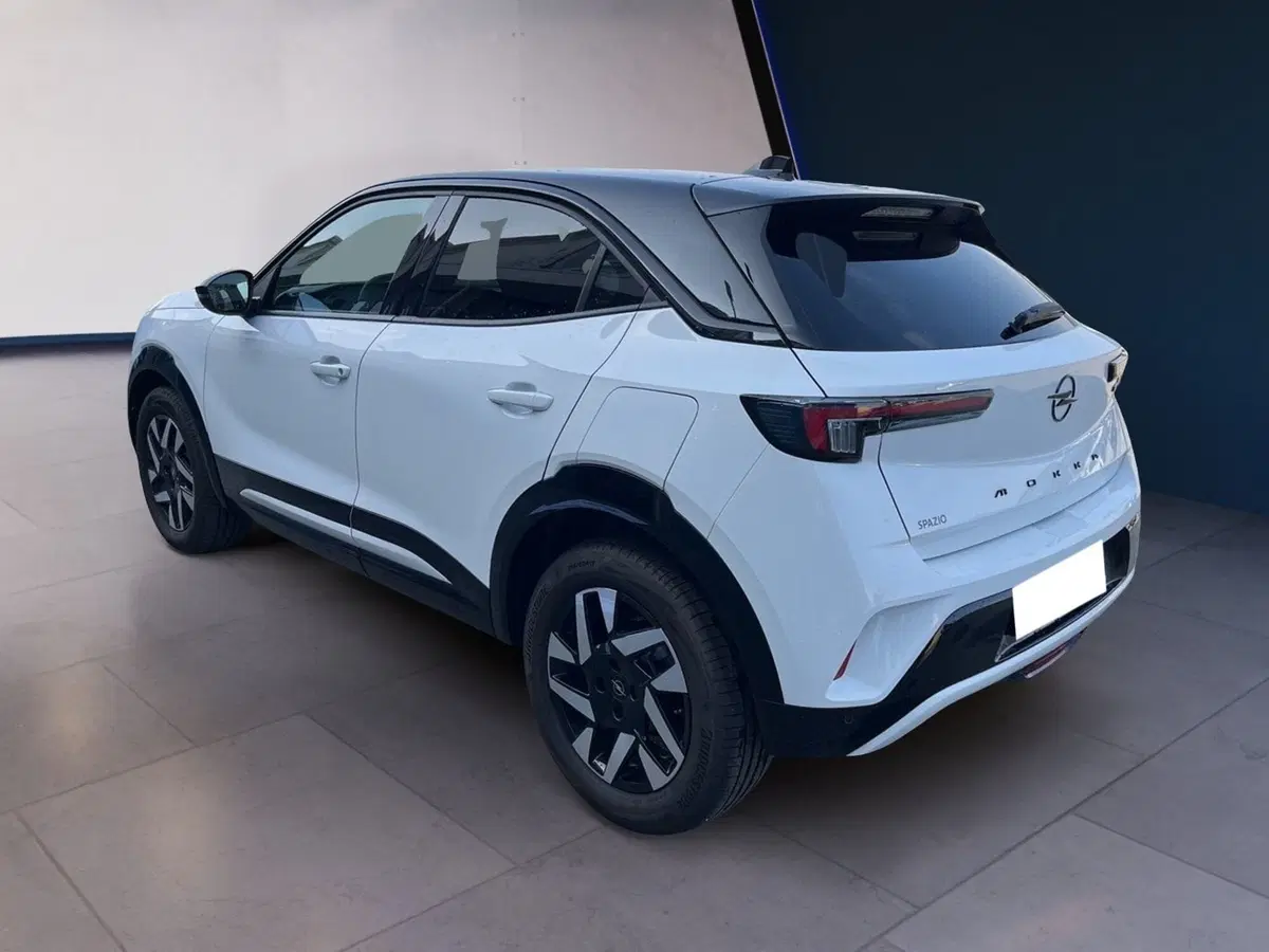 Opel Mokka usata a Torino (6)