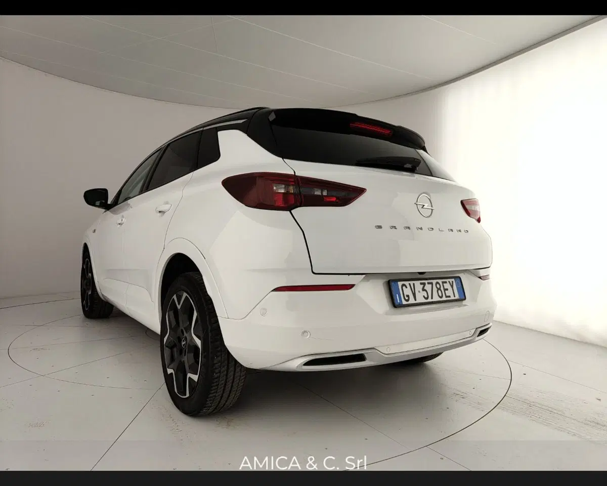 Opel Grandland usata a Caserta (9)