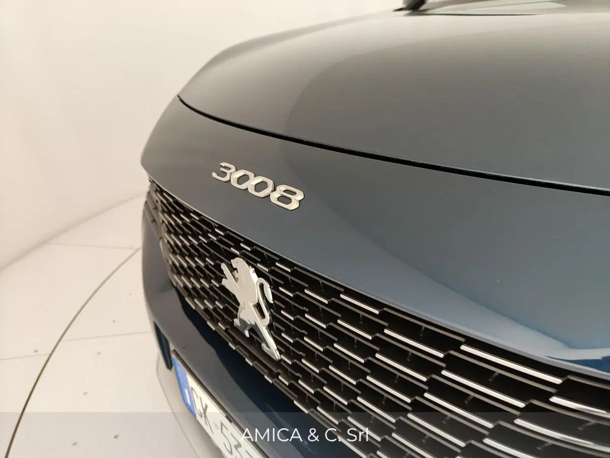 Peugeot 3008 usata a Caserta (10)