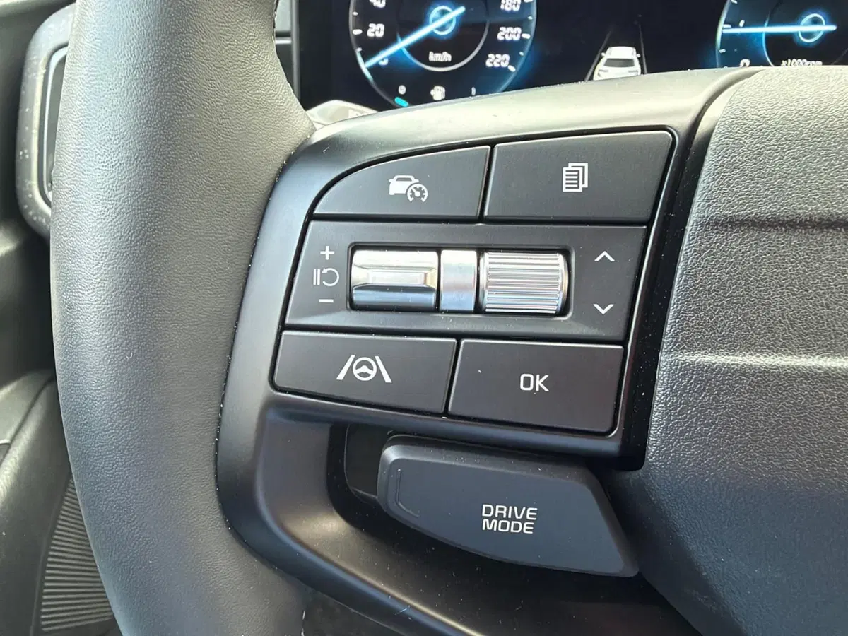 Kia Stonic usata a Belluno (20)