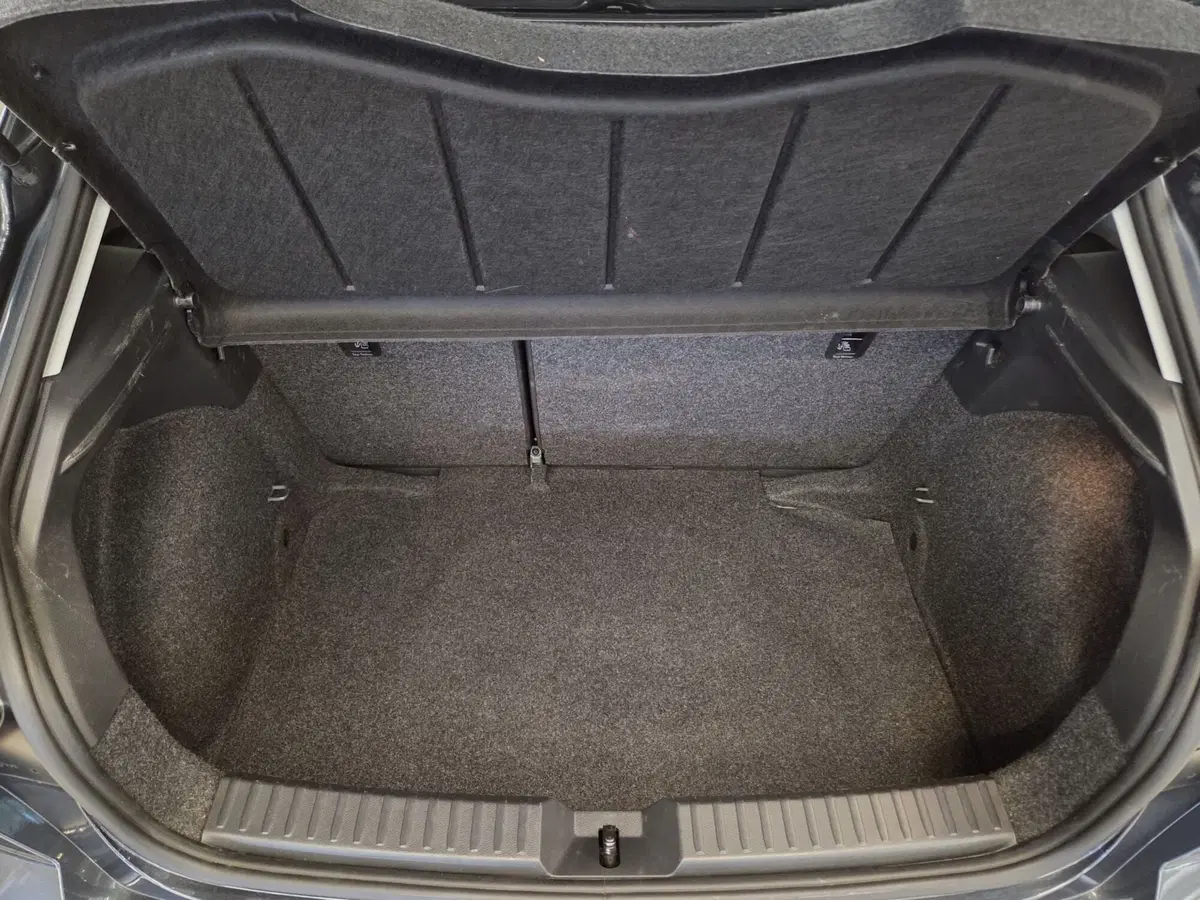 SEAT Ibiza usata a Pavia (18)