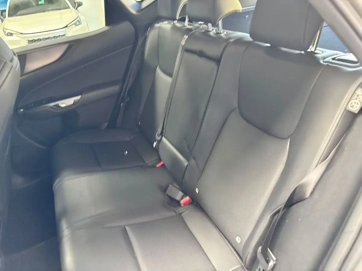 Lexus NX usata a Modena (14)