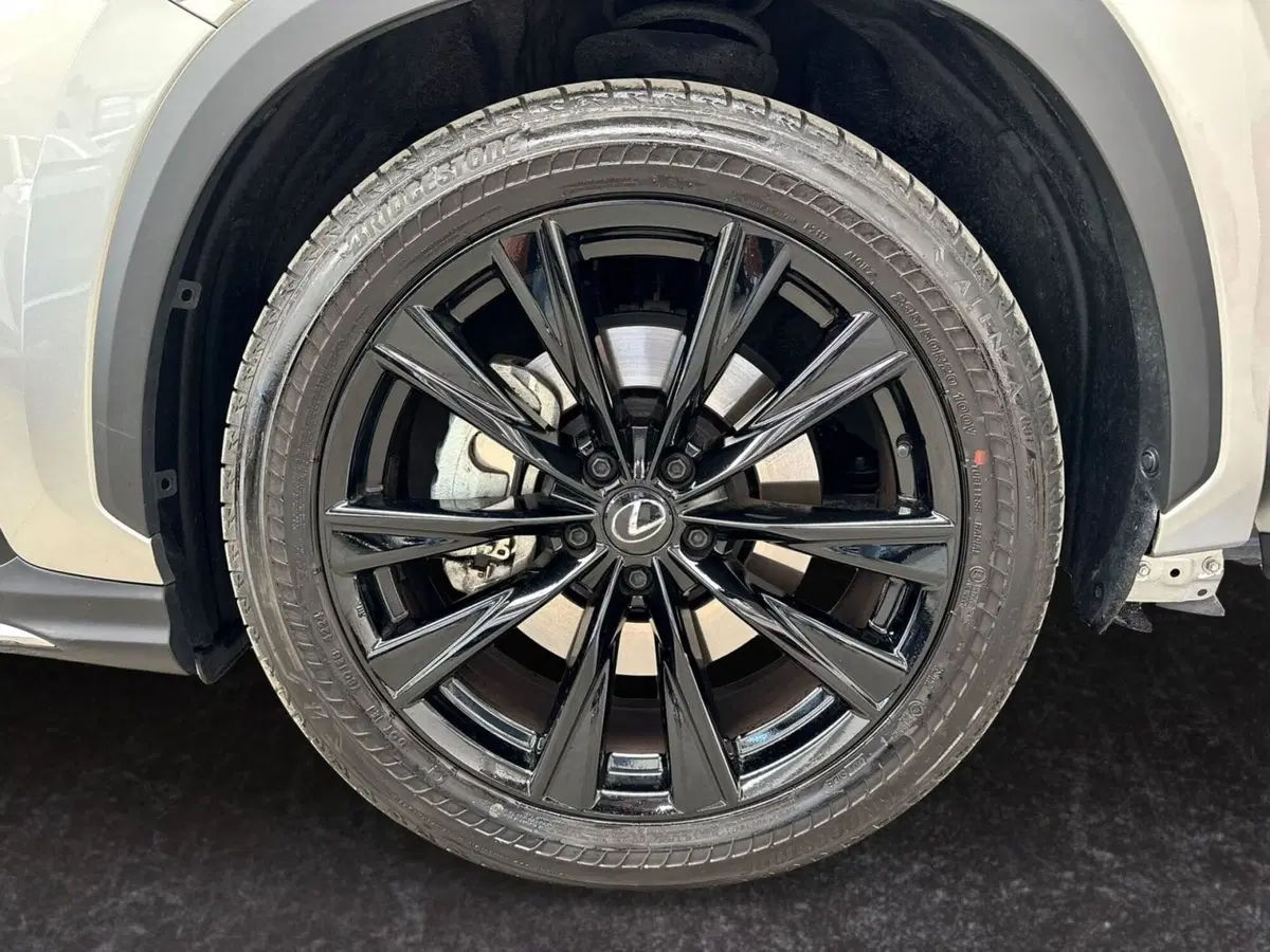Lexus NX usata a Modena (15)