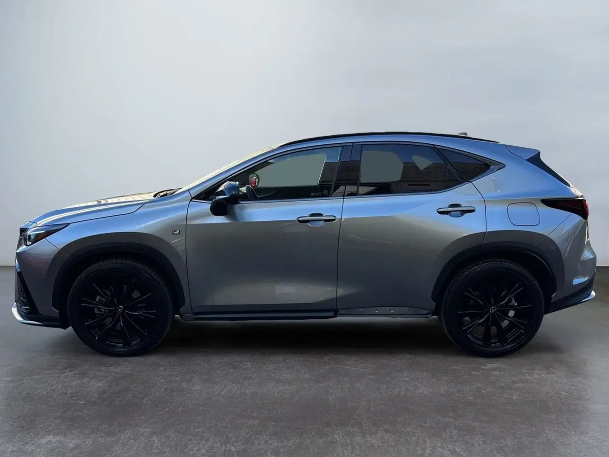 Lexus NX usata a Modena (4)