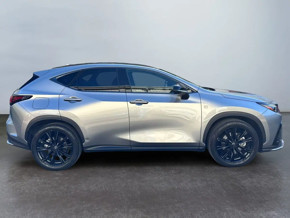 Lexus NX usata a Modena (5)