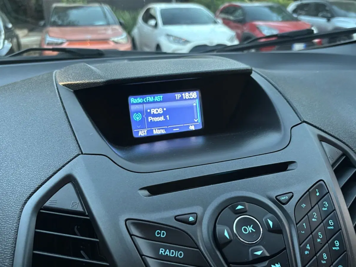 Ford EcoSport usata a Bologna (11)