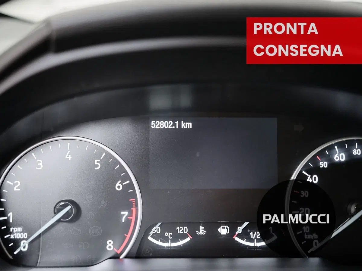 Ford EcoSport usata a Prato (10)