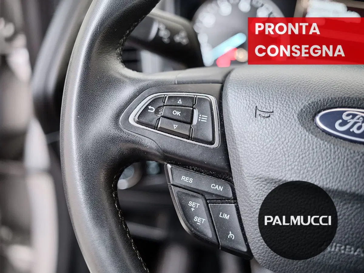 Ford EcoSport usata a Prato (12)