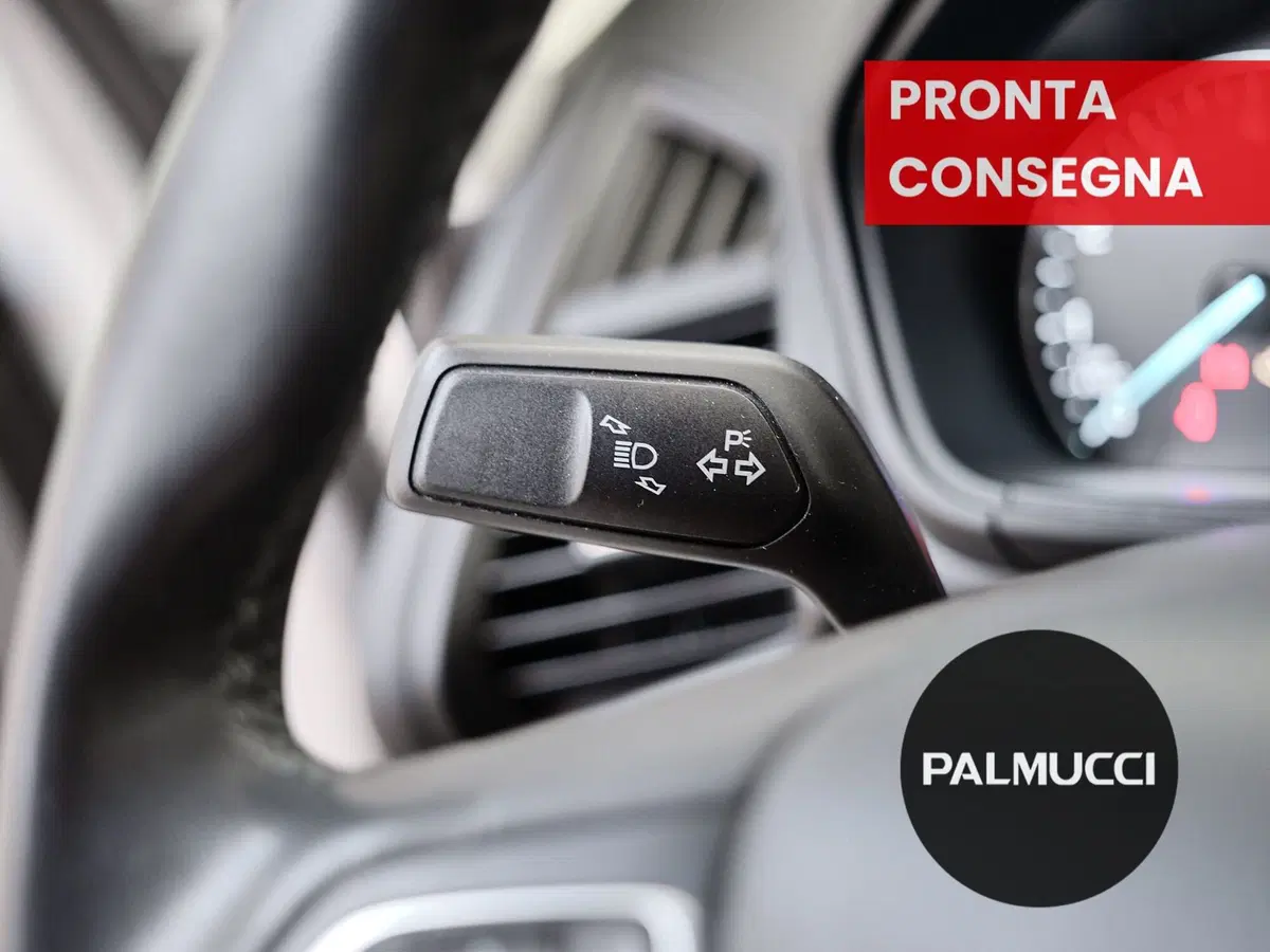 Ford EcoSport usata a Prato (14)