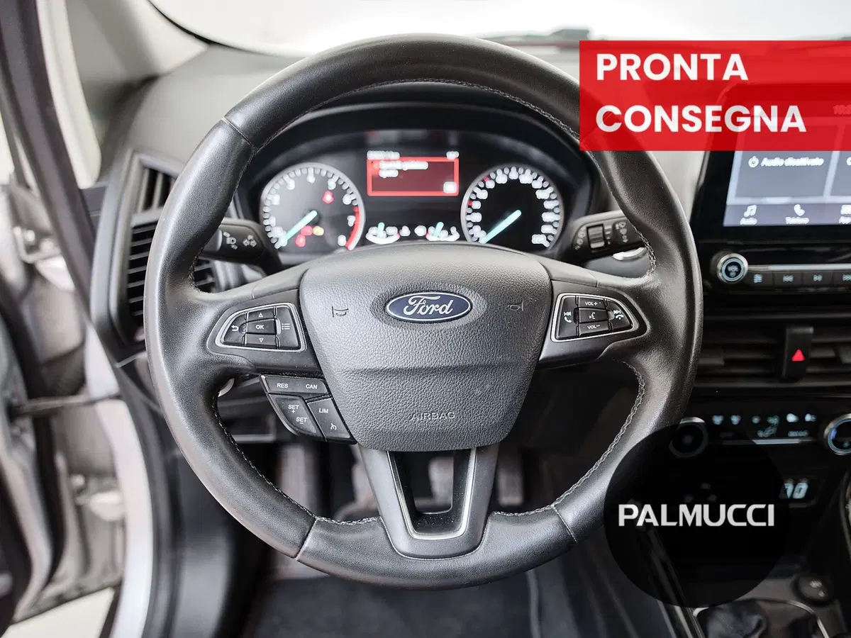 Ford EcoSport usata a Prato (17)