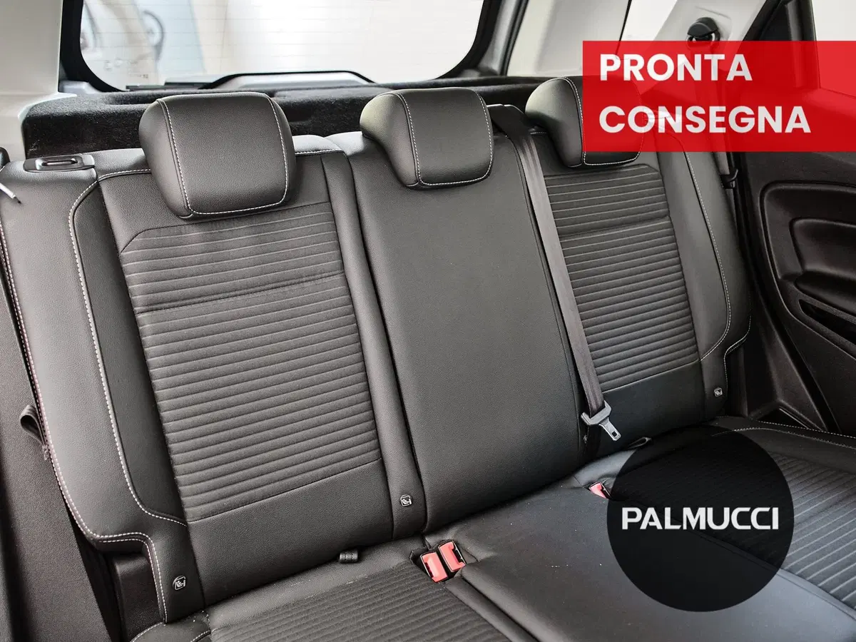 Ford EcoSport usata a Prato (18)