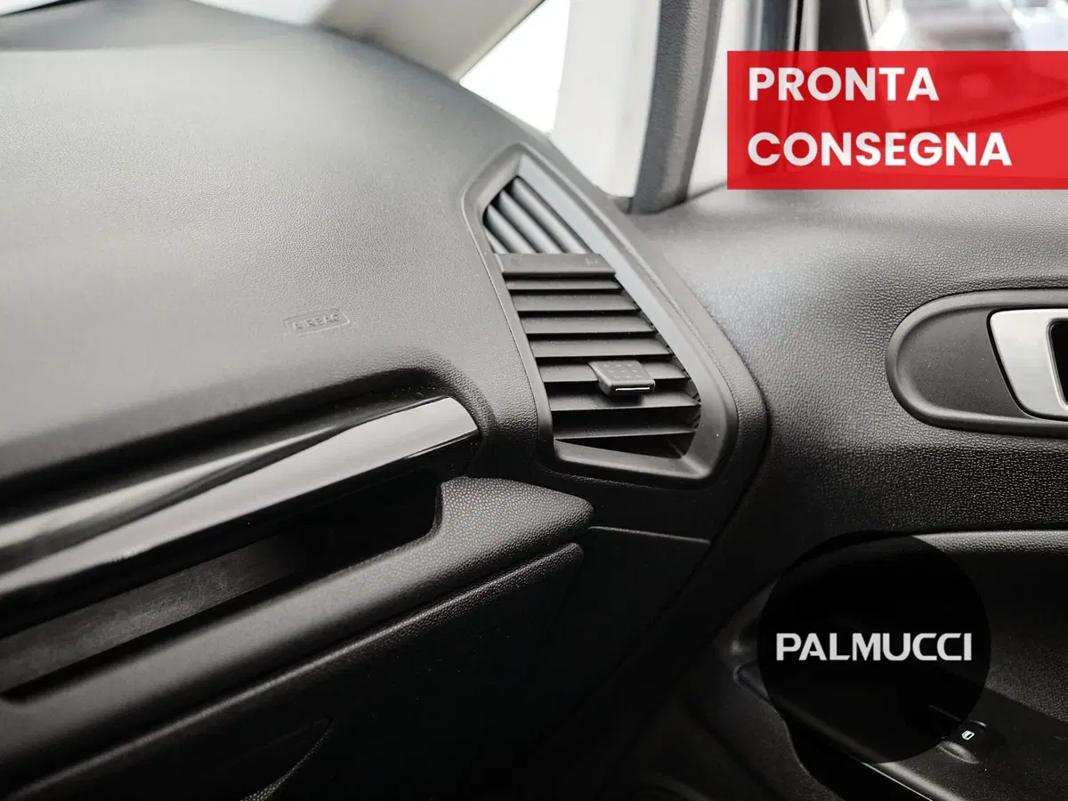 Ford EcoSport usata a Prato (19)