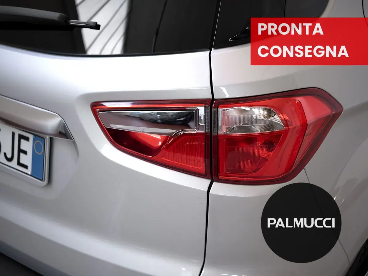 Ford EcoSport usata a Prato (6)