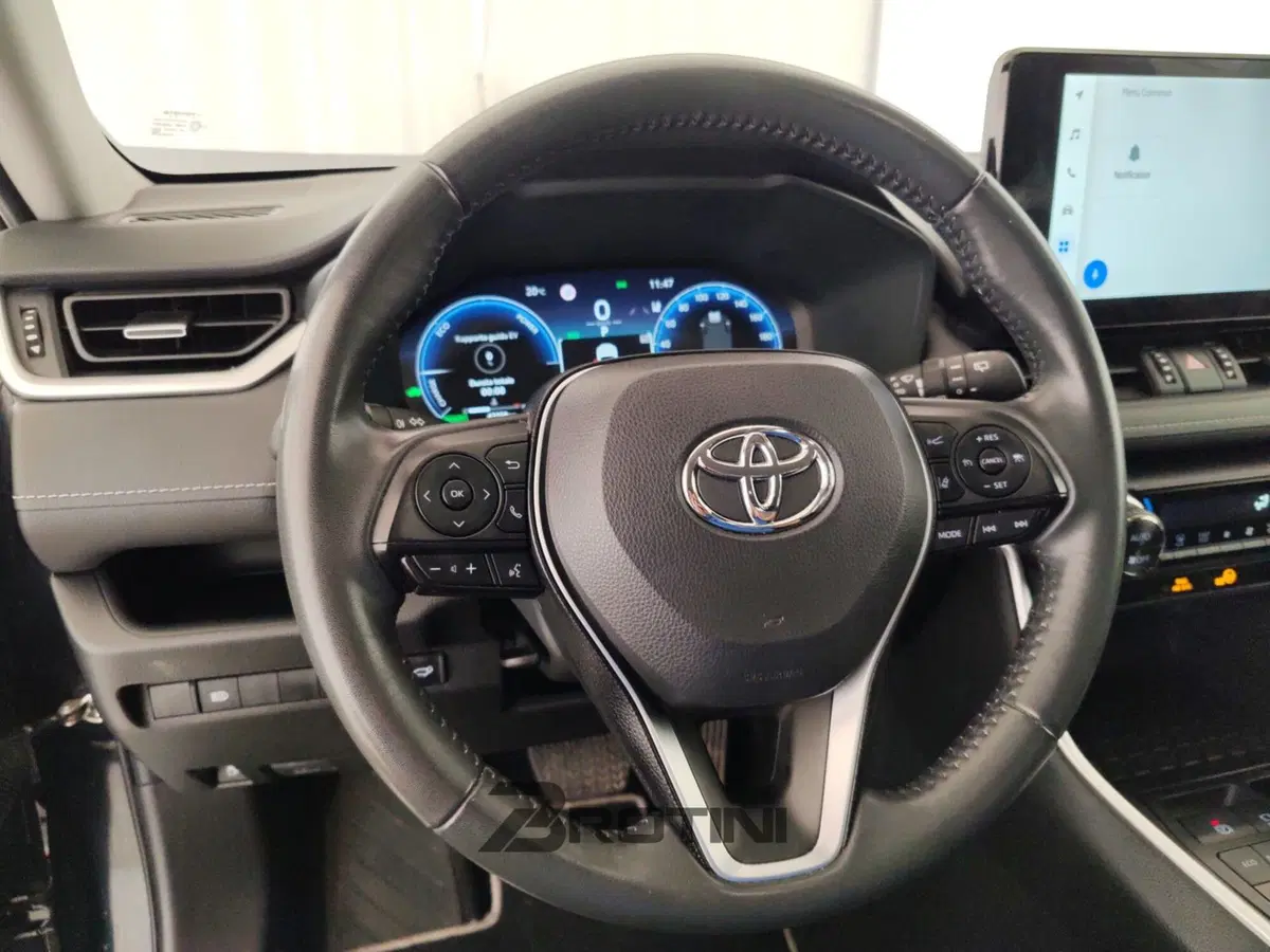 Toyota Rav4 usata a Massa-Carrara (14)