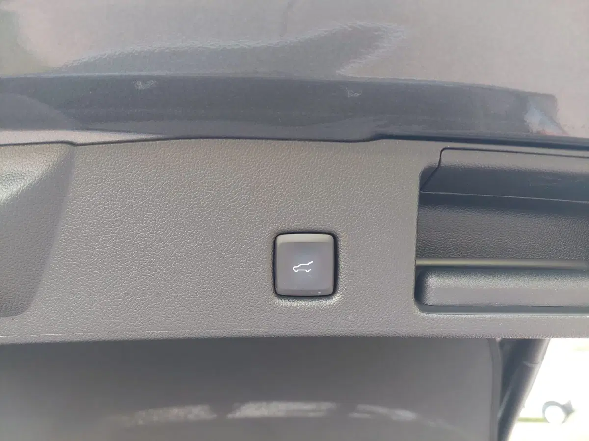 Ford Kuga usata a Treviso (19)