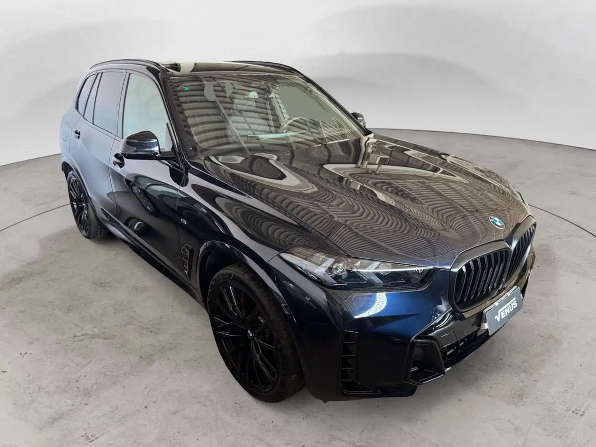 BMW X5 usata a Monza e Brianza (13)