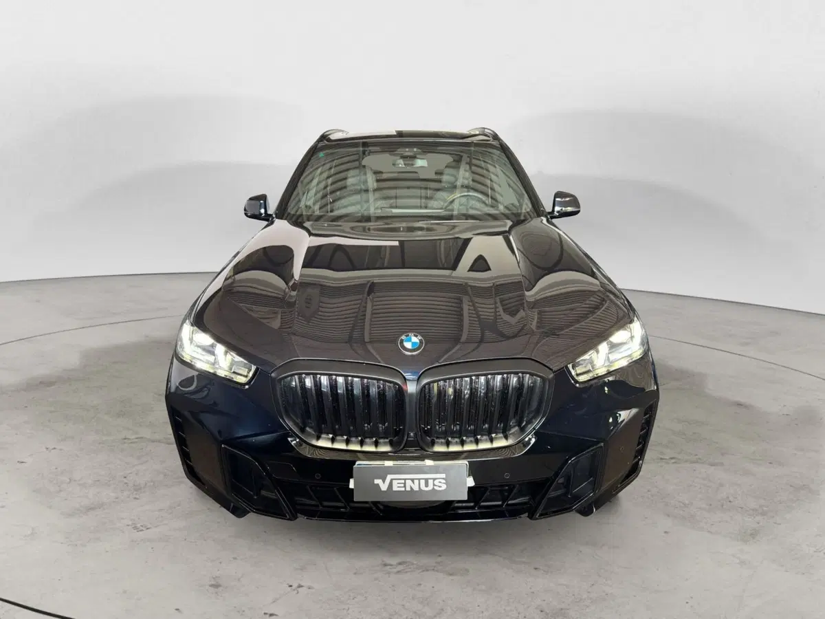 BMW X5 usata a Monza e Brianza (2)