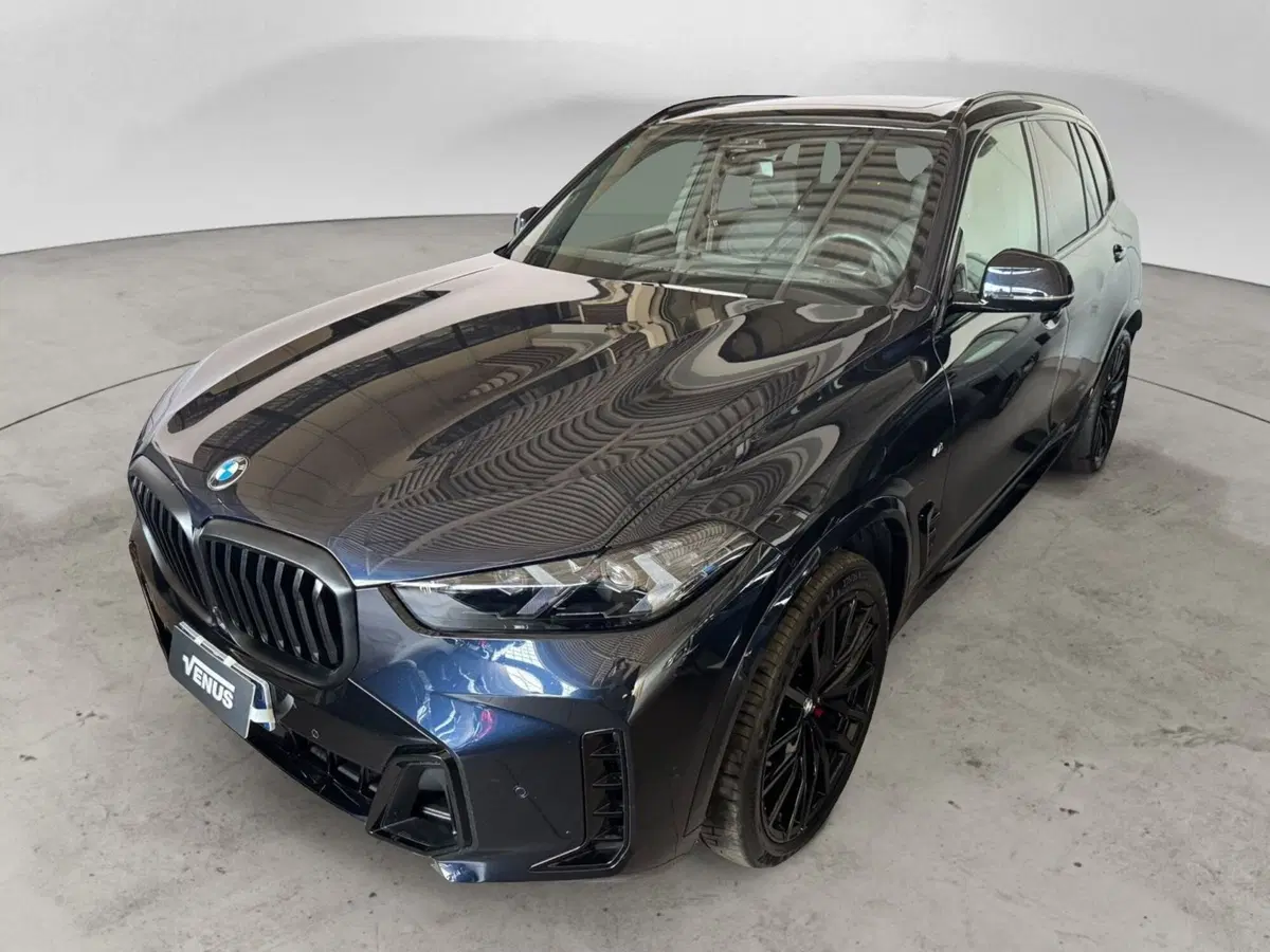 BMW X5 usata a Monza e Brianza (3)