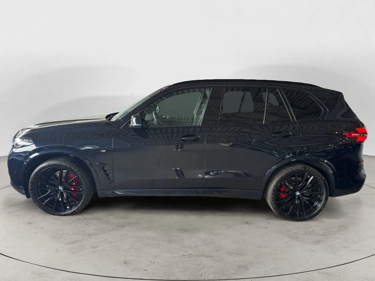 BMW X5 usata a Monza e Brianza (4)