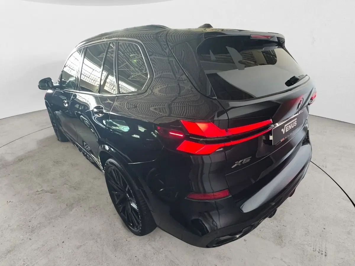 BMW X5 usata a Monza e Brianza (5)