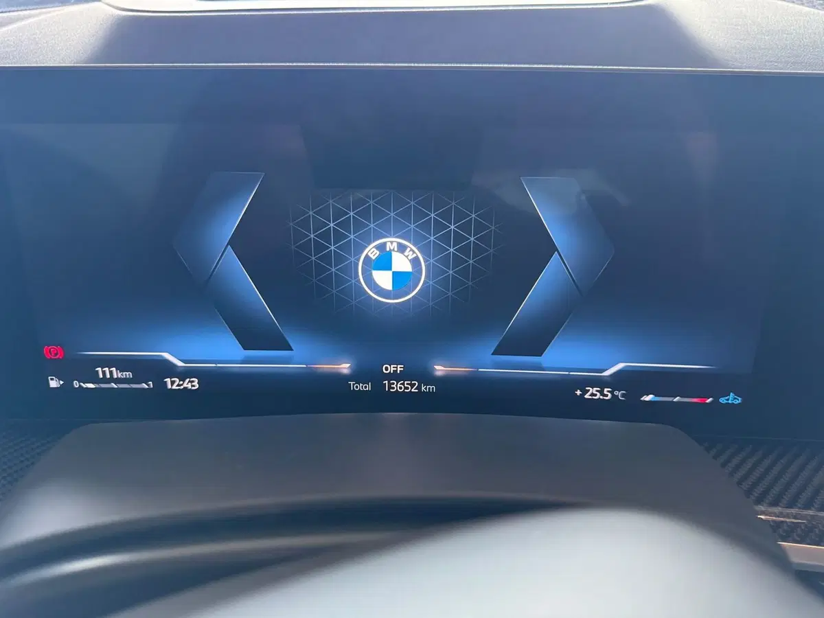 BMW X5 usata a Monza e Brianza (7)