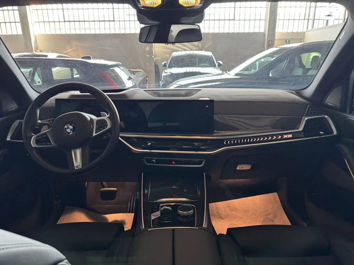 BMW X5 usata a Monza e Brianza (8)