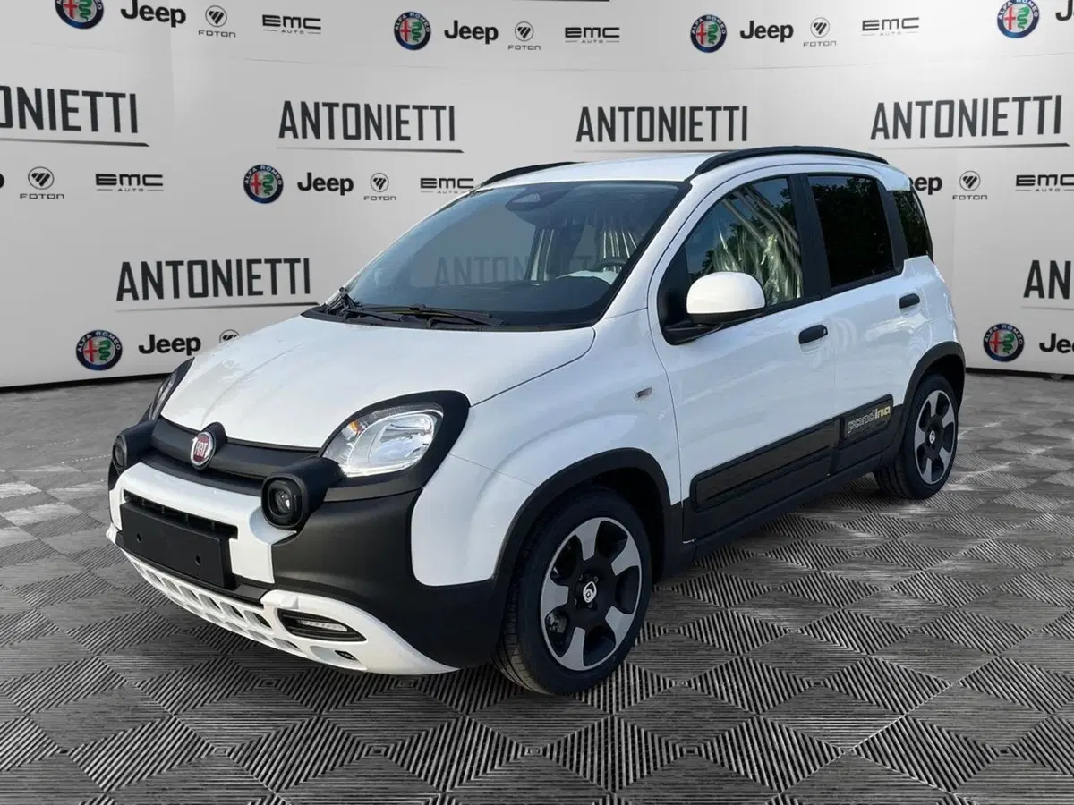 Fiat Pandina nuova a Ancona