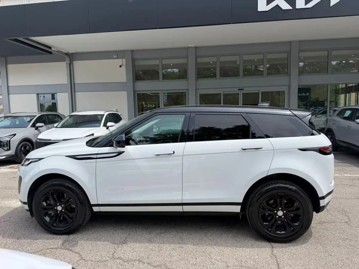 Land Rover Range Rover Evoque usata a Rimini (8)
