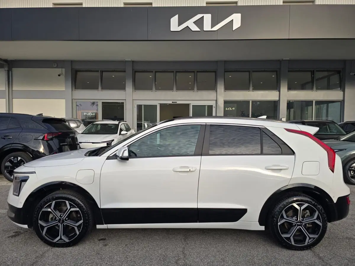 Kia Niro usata a Rimini (6)