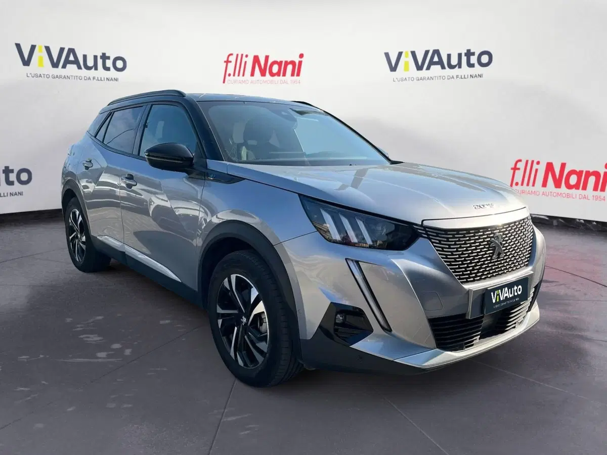 Peugeot 2008 usata a Massa-Carrara (14)