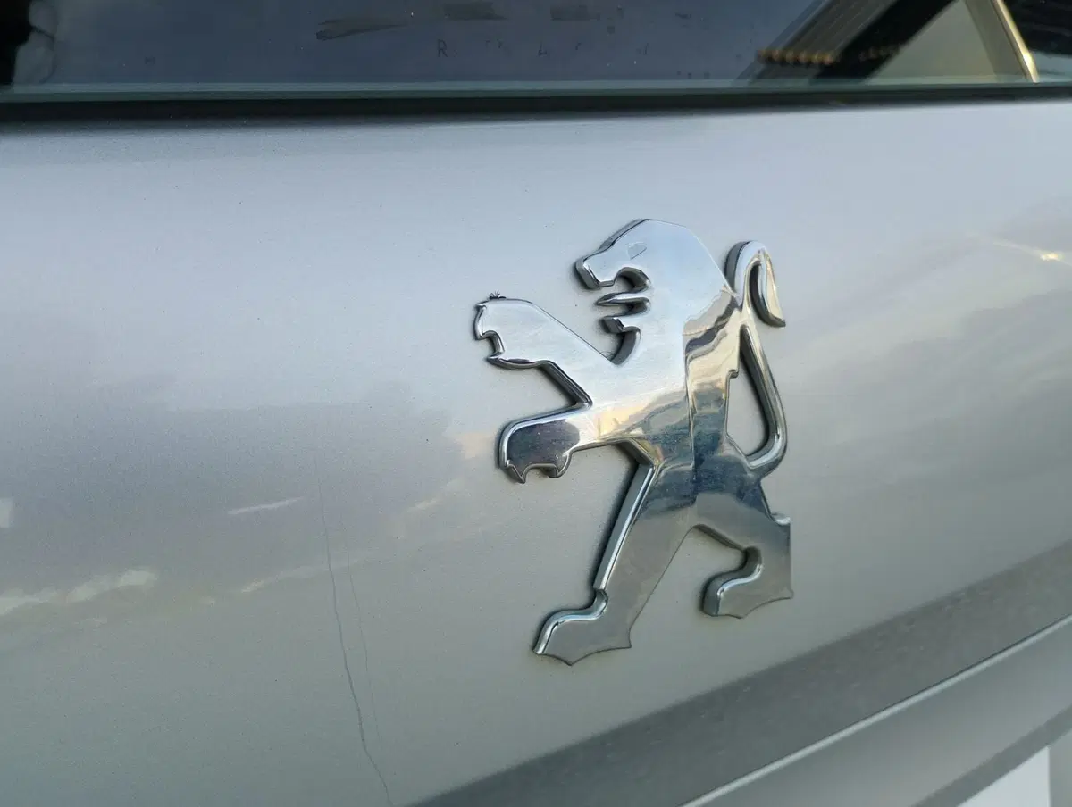 Peugeot 207 usata a Ravenna (18)