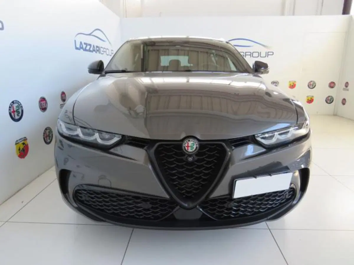 Alfa Romeo Tonale usata a Lodi (2)