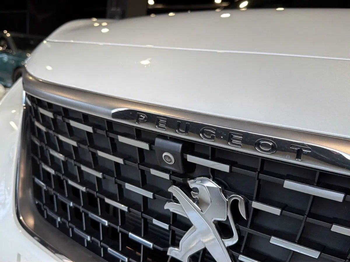 Peugeot 5008 usata a Vicenza (11)
