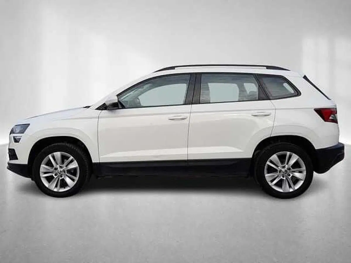 Skoda Karoq usata a Ravenna (3)