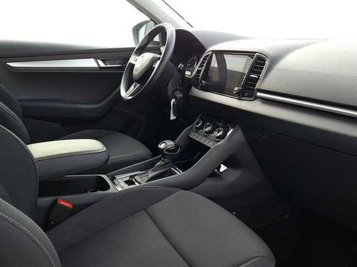 Skoda Karoq usata a Ravenna (6)