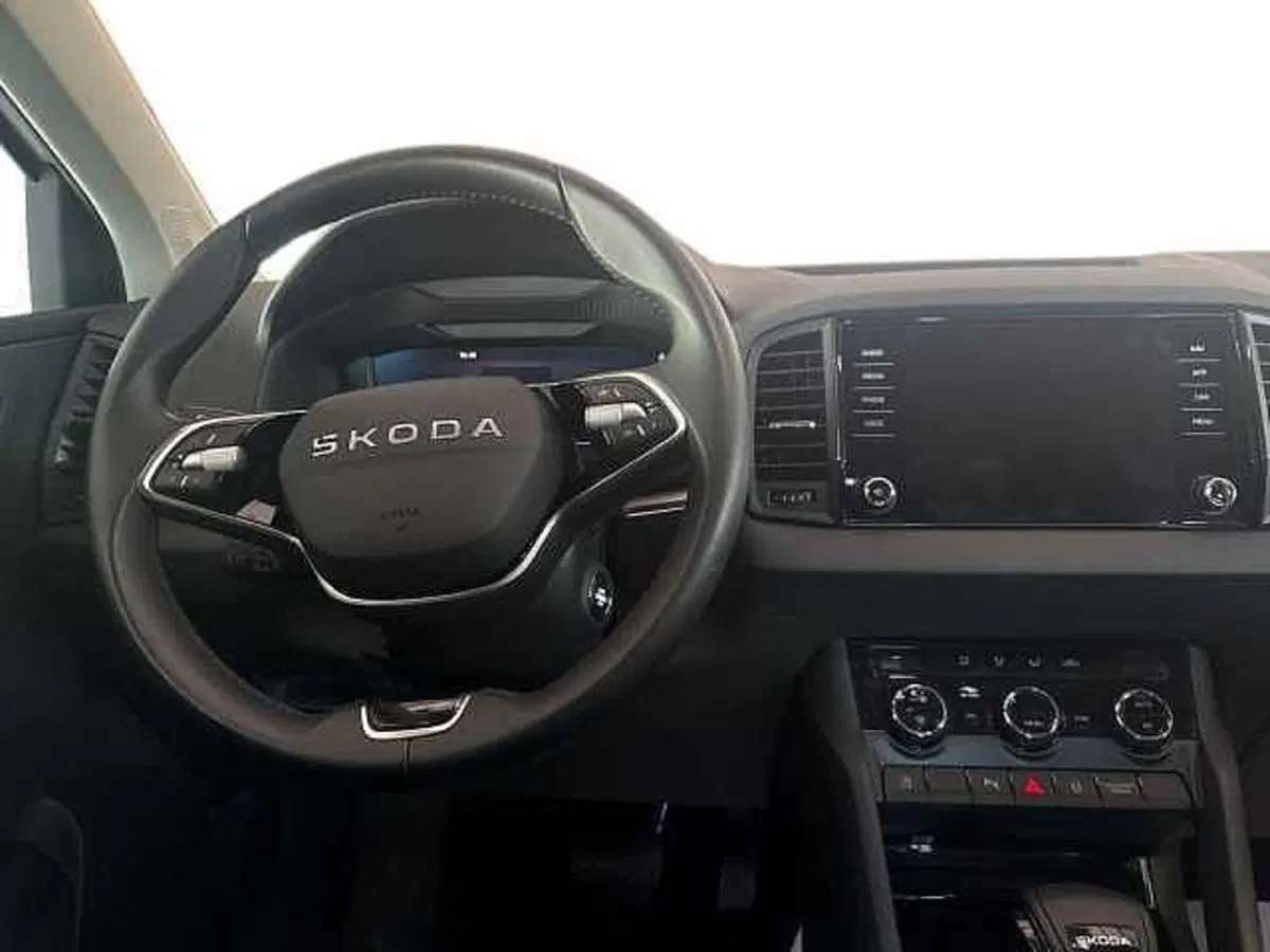 Skoda Karoq usata a Ravenna (10)