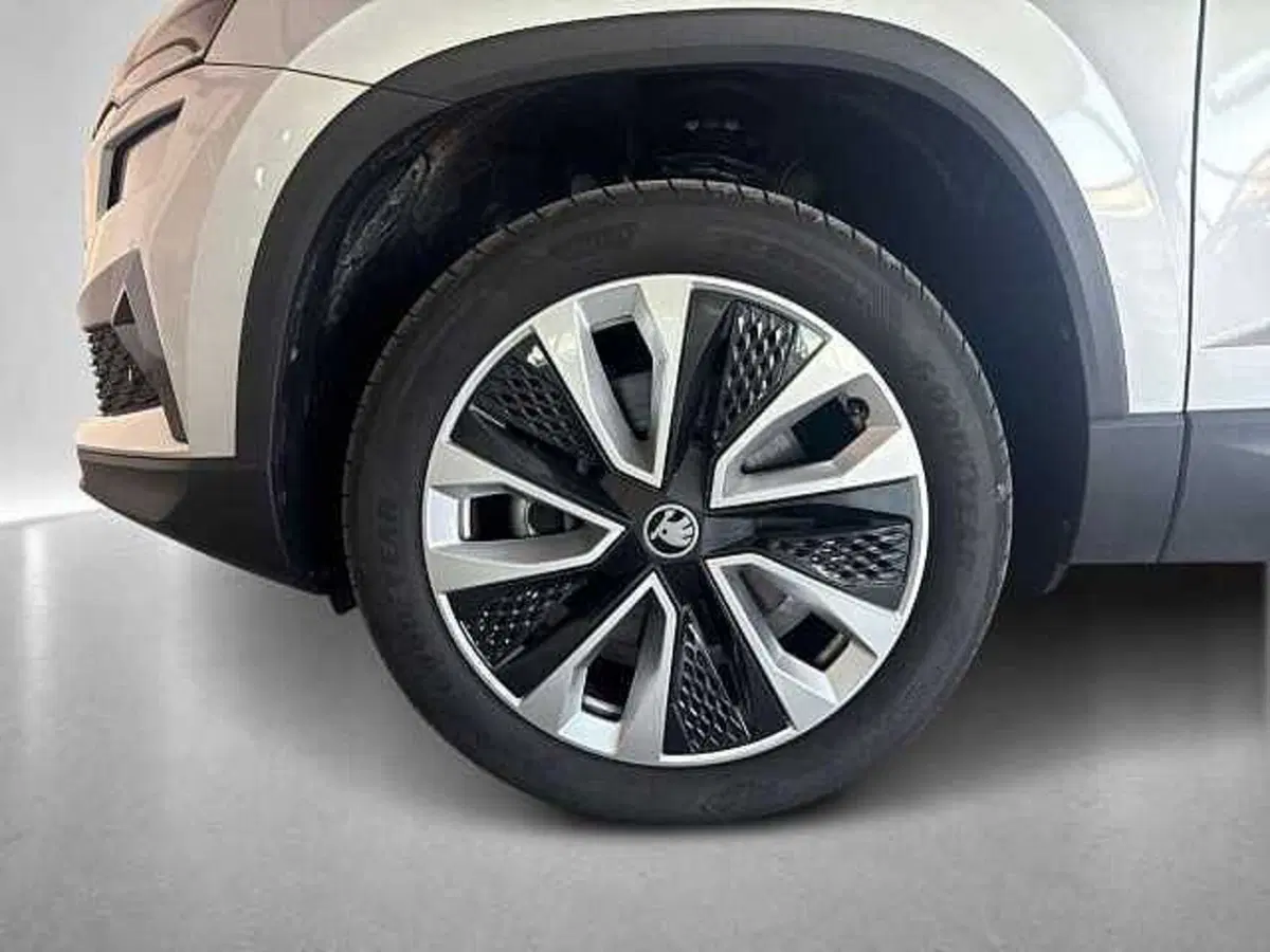 Skoda Karoq usata a Ravenna (9)