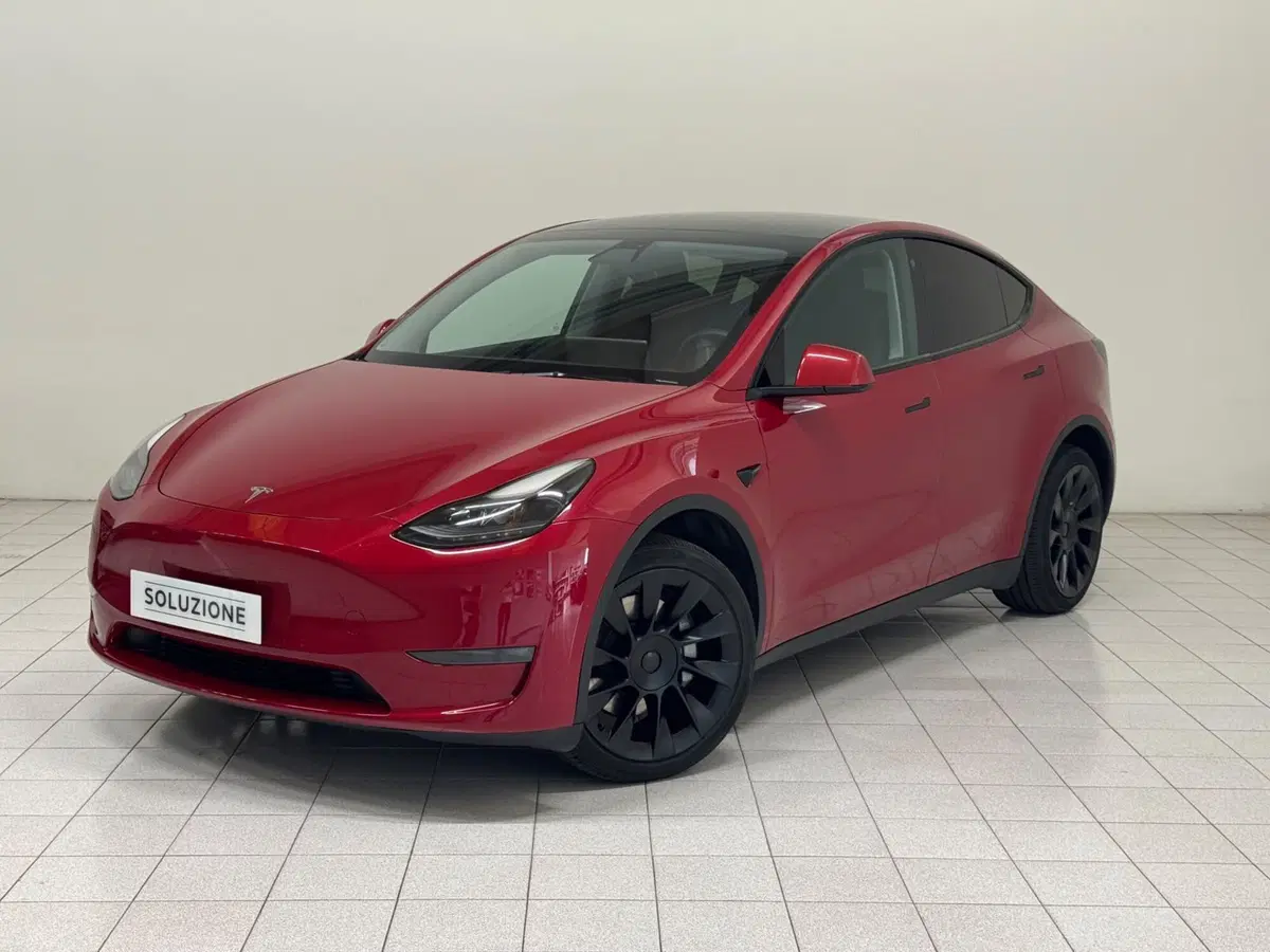 Tesla Model Y usata a Novara