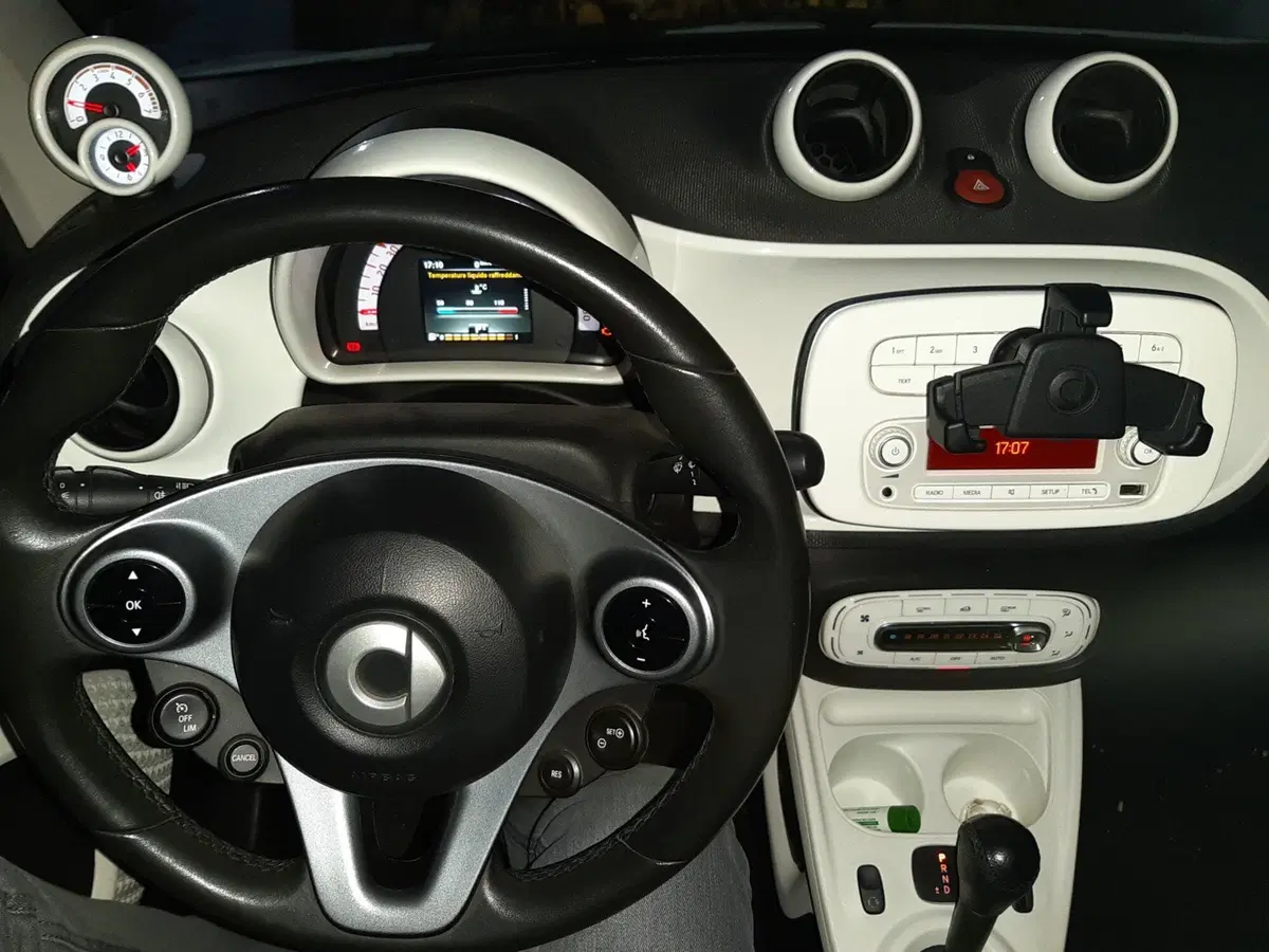 smart Fortwo usata a Caserta (9)